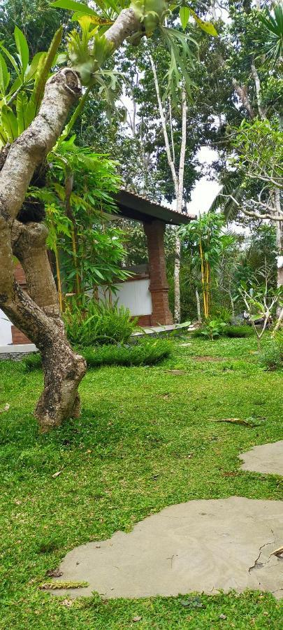 דירות Tampaksiring Tangkas House מראה חיצוני תמונה